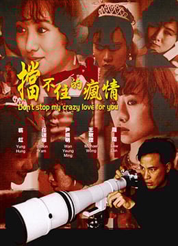挡不住的疯情DontStopCrazyLoveforYou1993国粤双语中字海报剧照