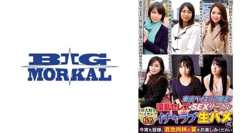 -東京ベイエリア限定！淫乱セレブのSEXサークル イチャラブ生ハメ！！海报剧照